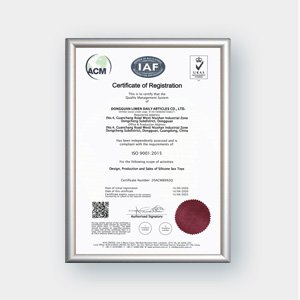 ISO9001 Zertifikate 